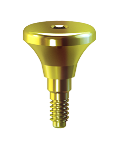 Paltop kónický  vhojovací váleček D 6,0mm H 2mm