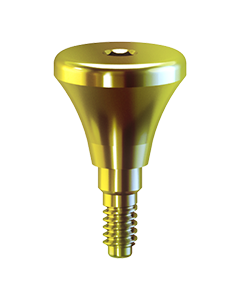 Paltop kónický  vhojovací váleček D 6,0mm H 3mm