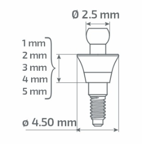 paltop size schema straight ball abutment conical