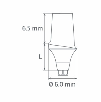 paltop size schema
