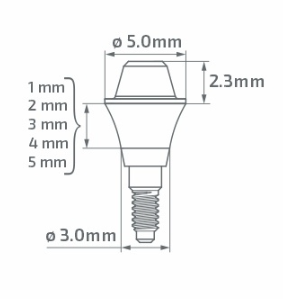 paltop size schema